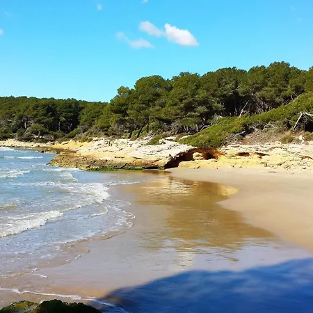 House Tamarit Playa *