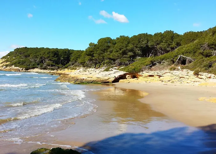 House Tamarit Playa *